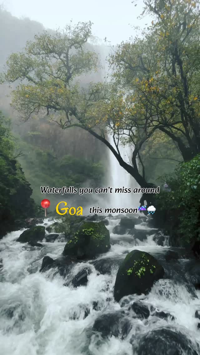 Shruthika Shetty | Solo Travel, Dudhsagar Falls
