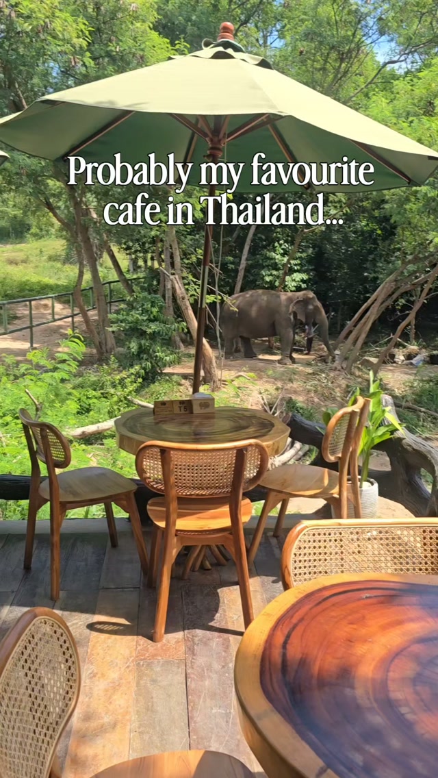 Claire White | Family Travels ✈️, Haven Elephant Café & Restaurant