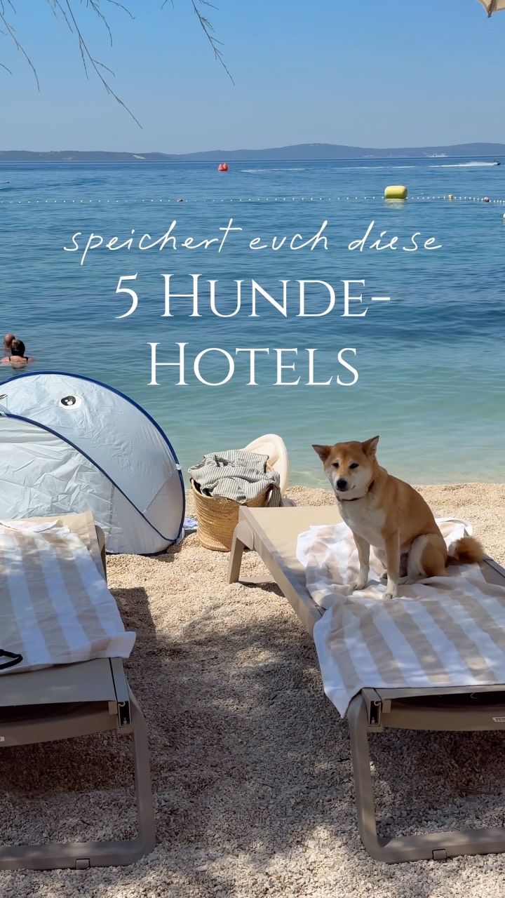 🐾 Reisen mit Hund | Dog-friendly Hotels | Reiseinspo, Hotel Almfrieden & Romantikchalet