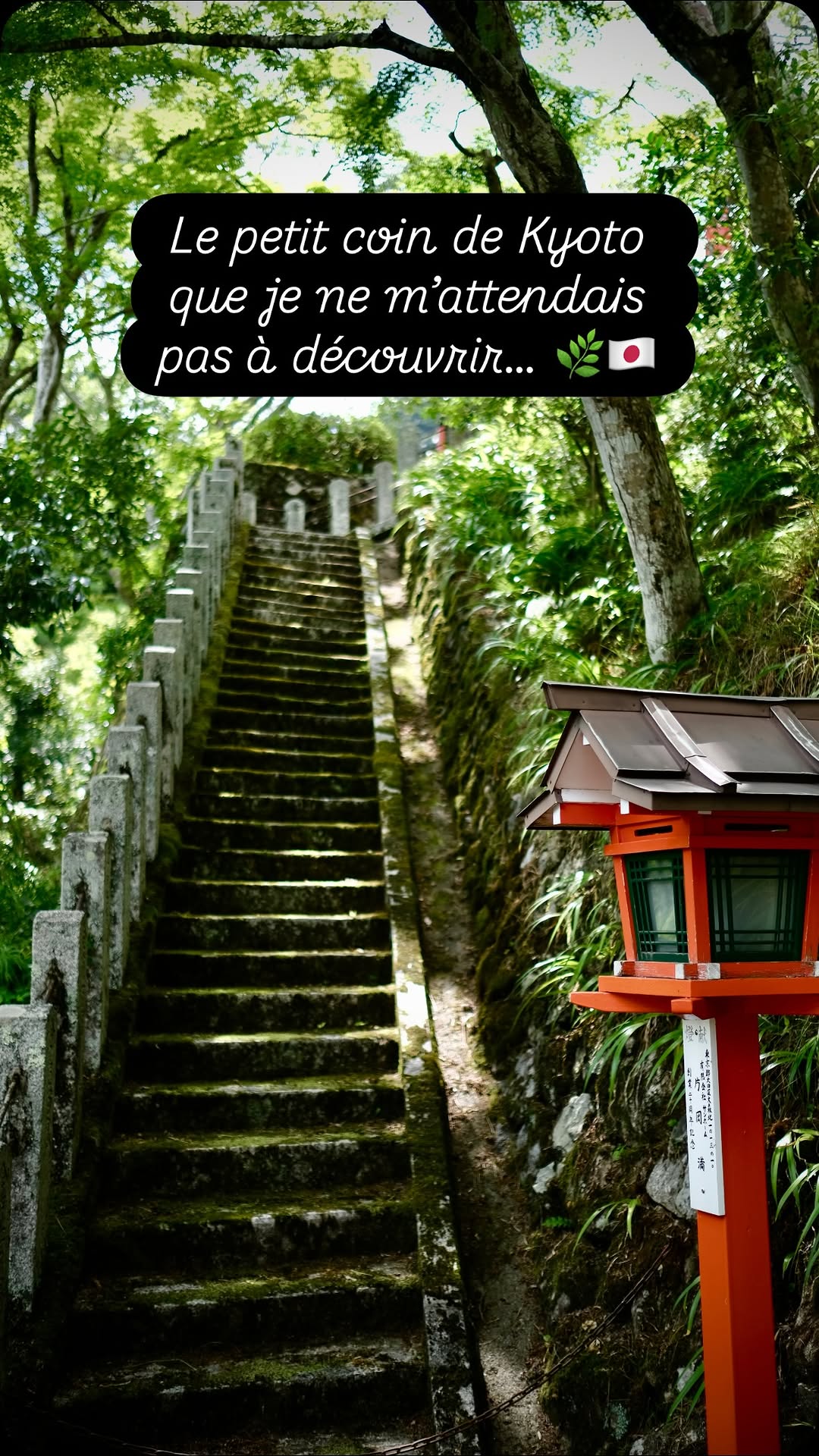 Leclanenperiple, Kifune Shrine