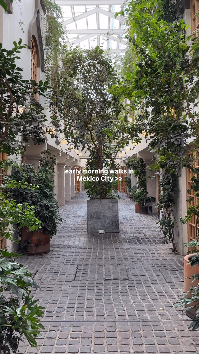 Sivan • Travel Tips & Inspiration, Panadería Rosetta