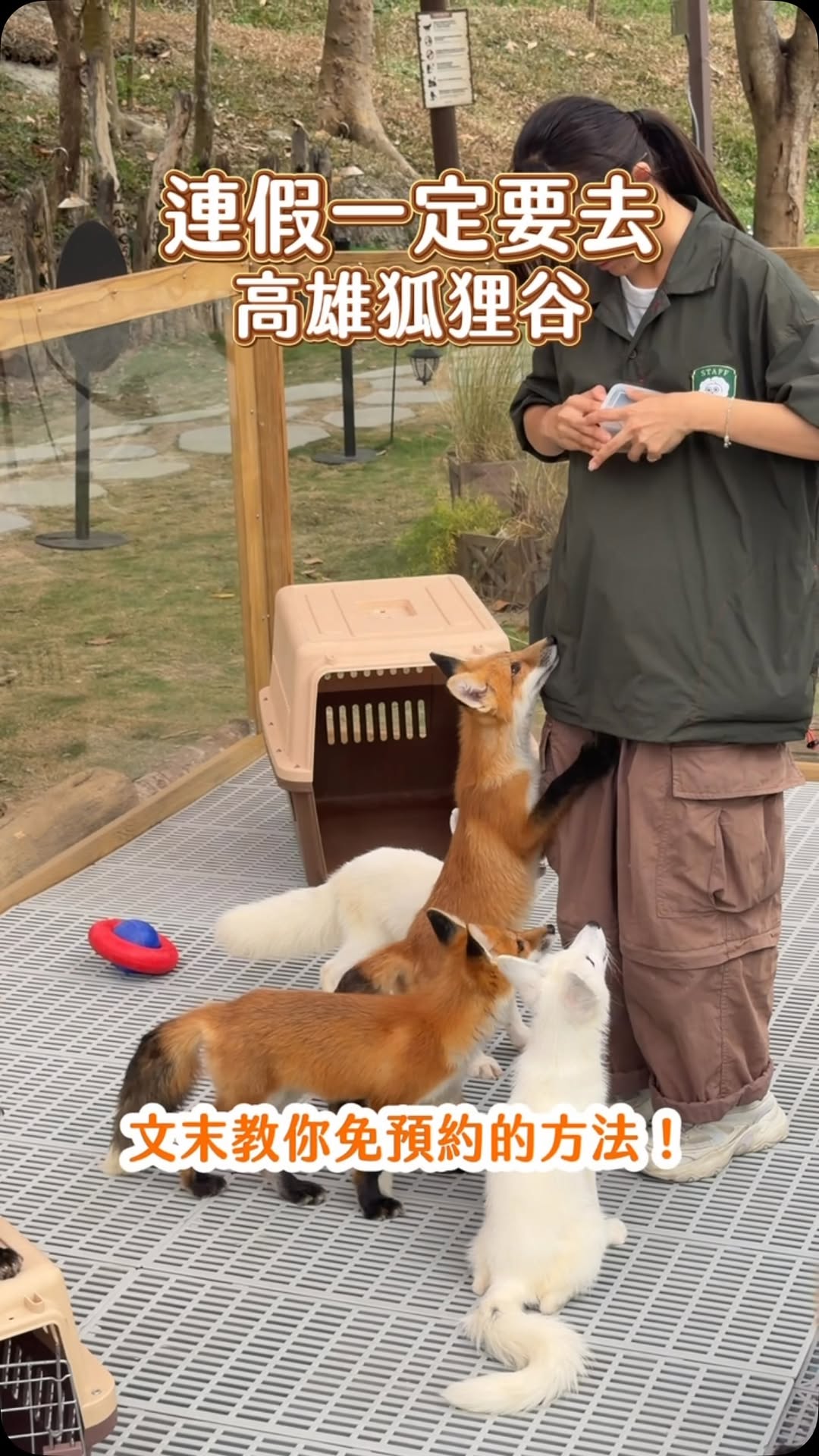 𝘾𝙝𝙞綺綺·台中美食x住宿分享, 野森動物學校