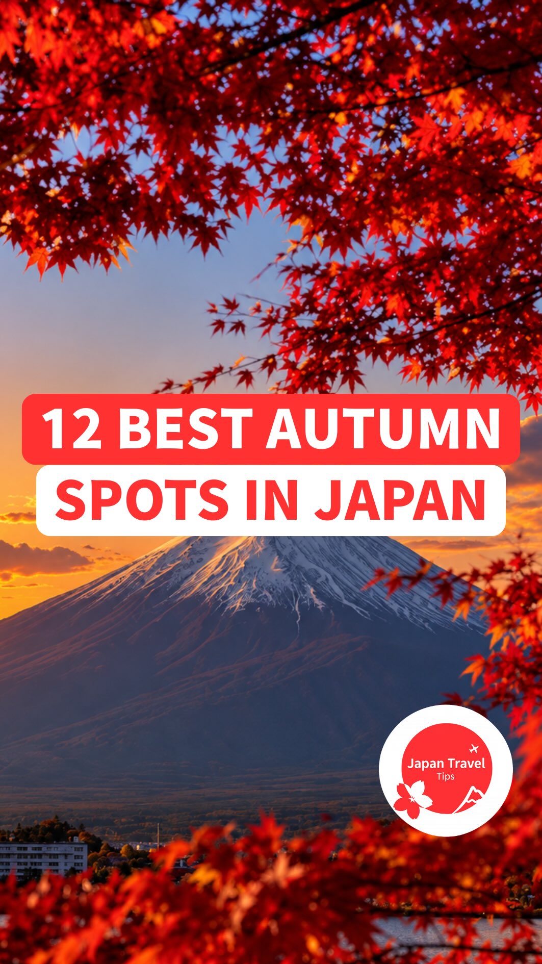Japan Travel Tips🇯🇵 Visitors Guide | Tips, Kiyomizu-dera