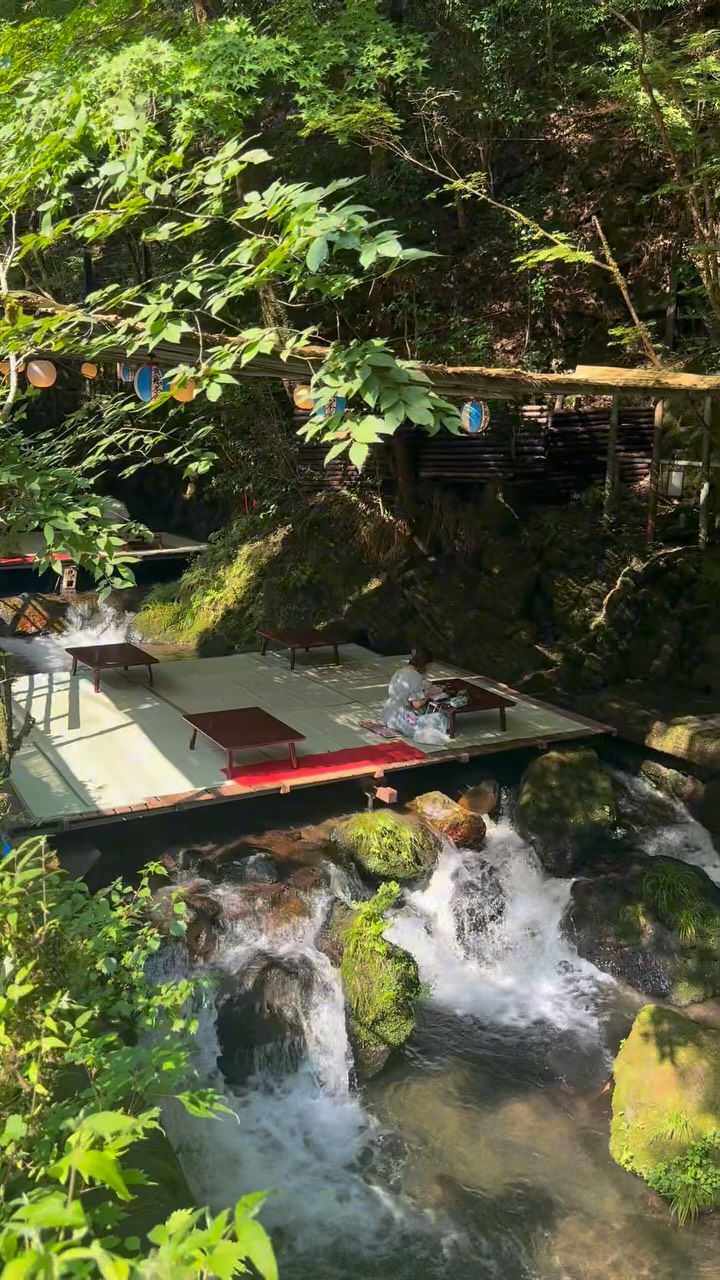 かめちゃん🐢, Kifune Shrine