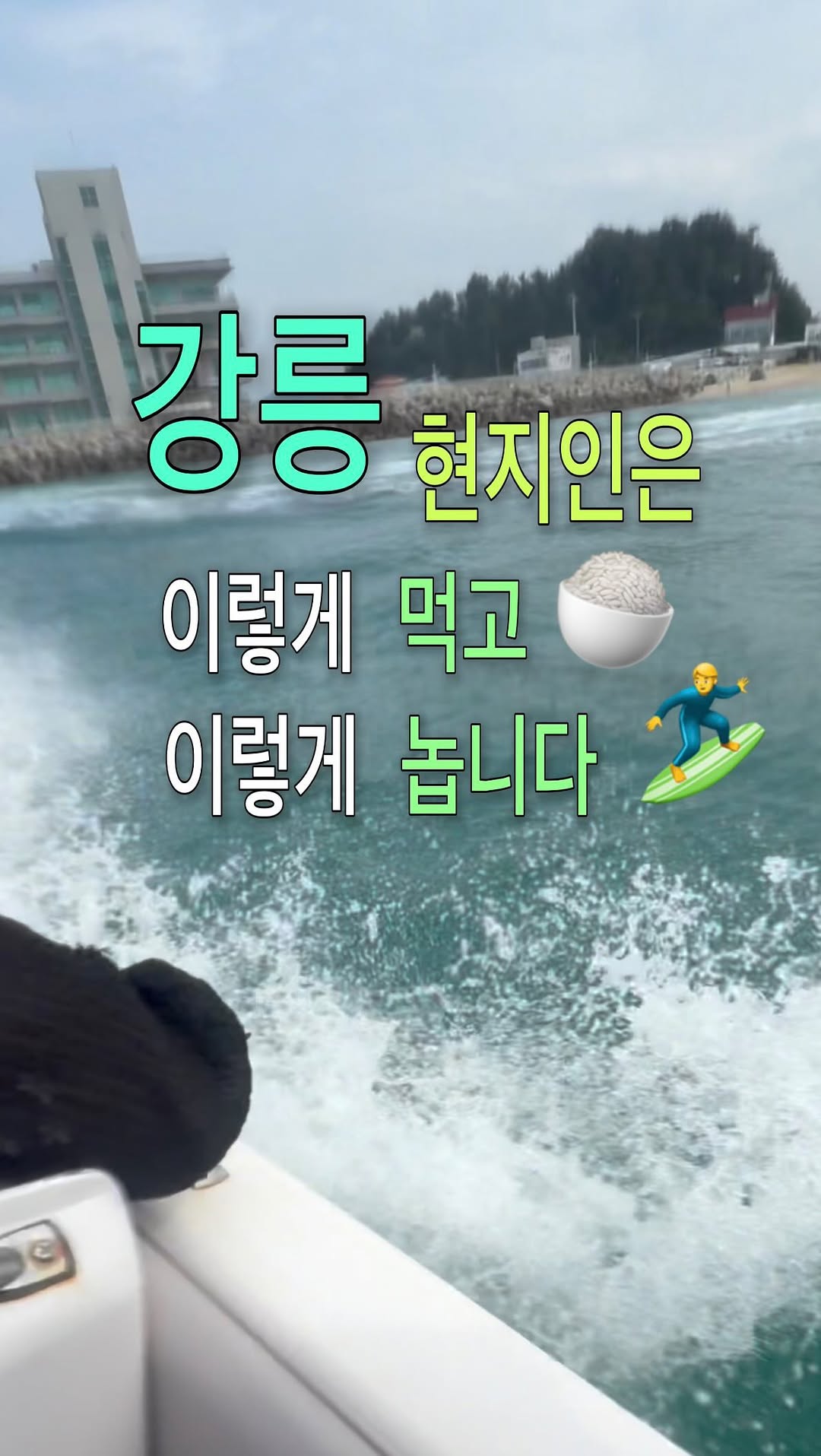 시소 ^.^ b, Gangneung Jungang Market