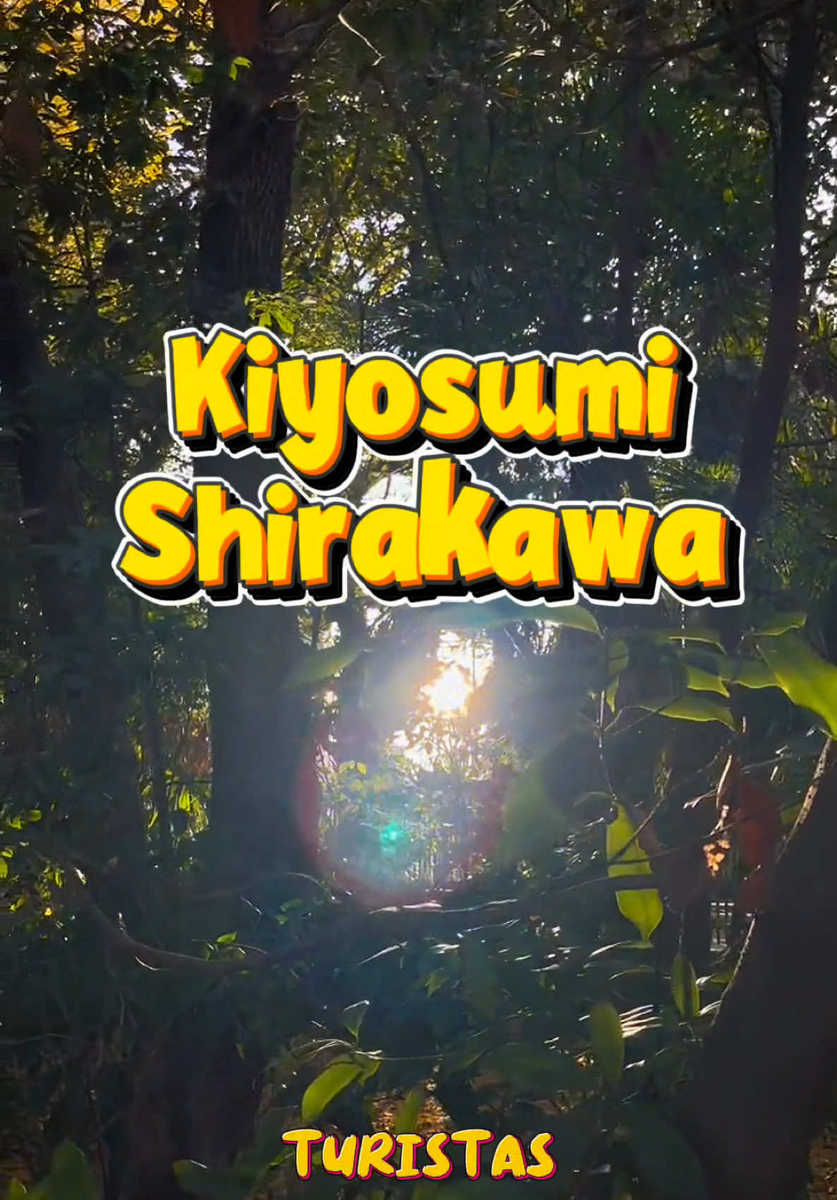 itadakimendez, Kiyosumi-shirakawa Sta.