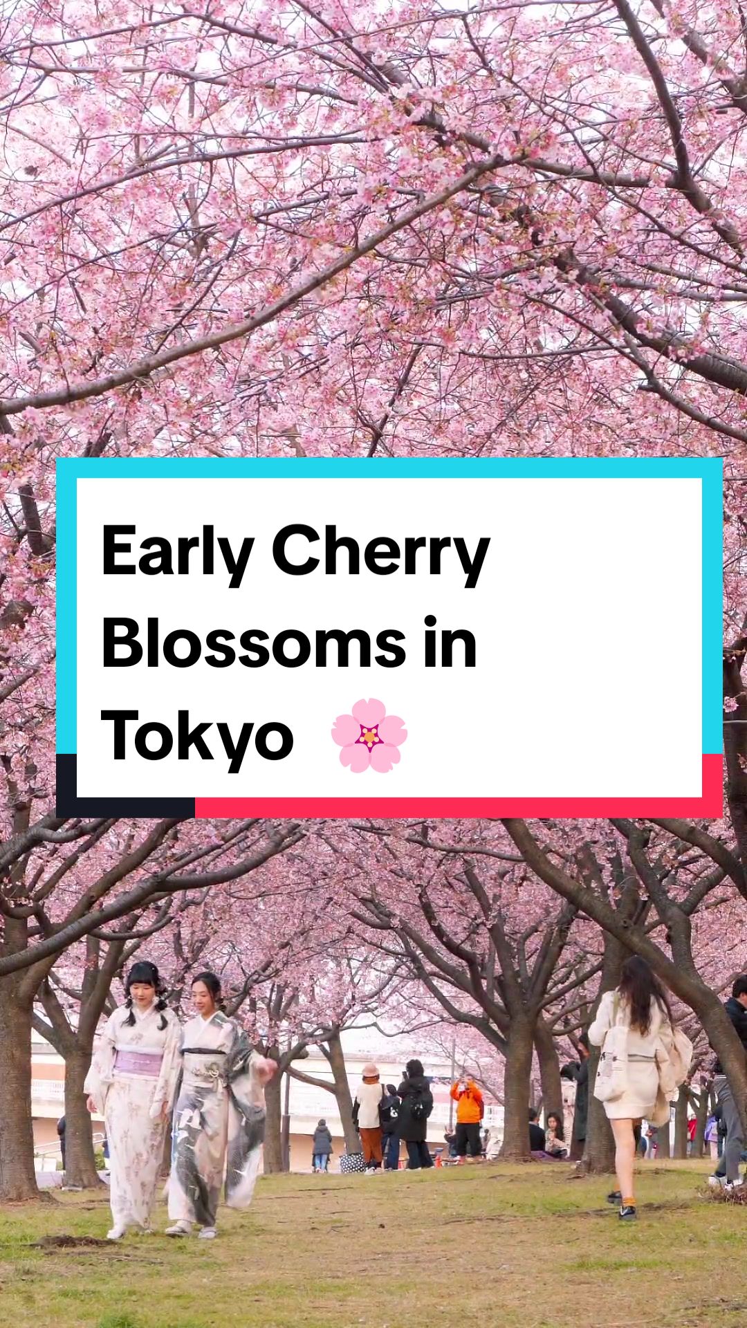 Borderless Asia, Tokyo Skytree