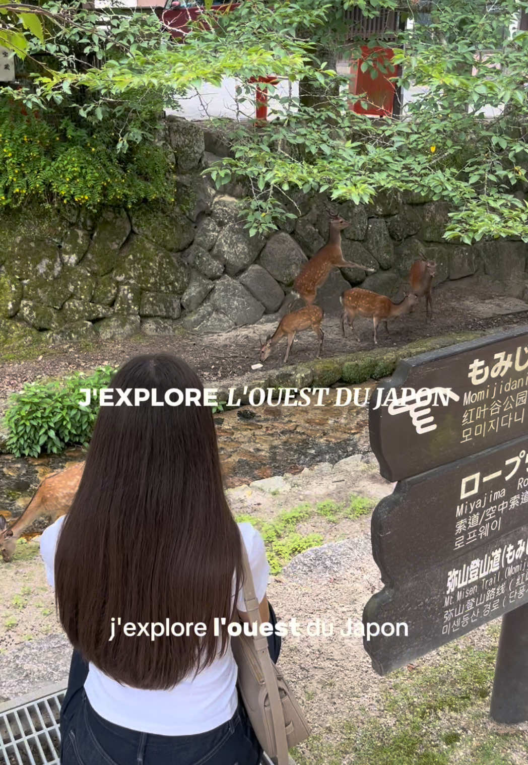 Léanna in Tokyo, Itsukushima