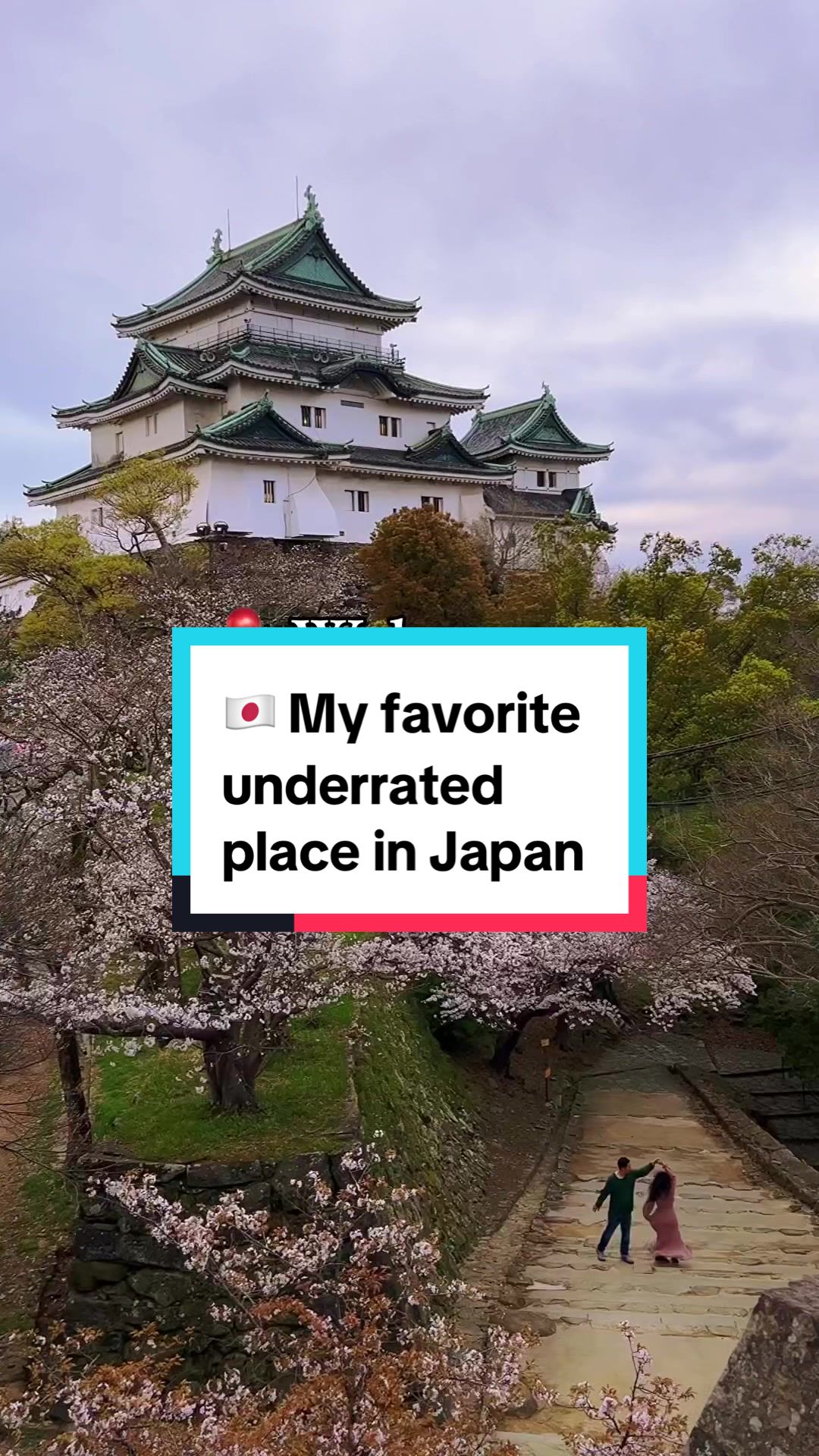 Cherise, Wakayama