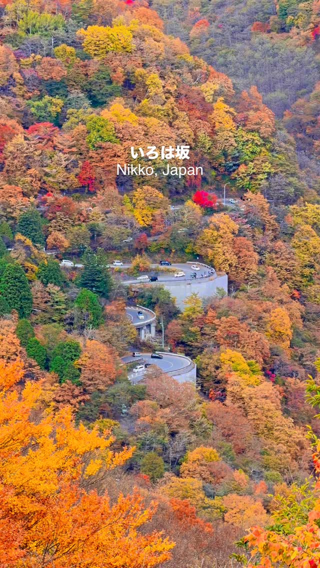 En🍀, 第一いろは坂
