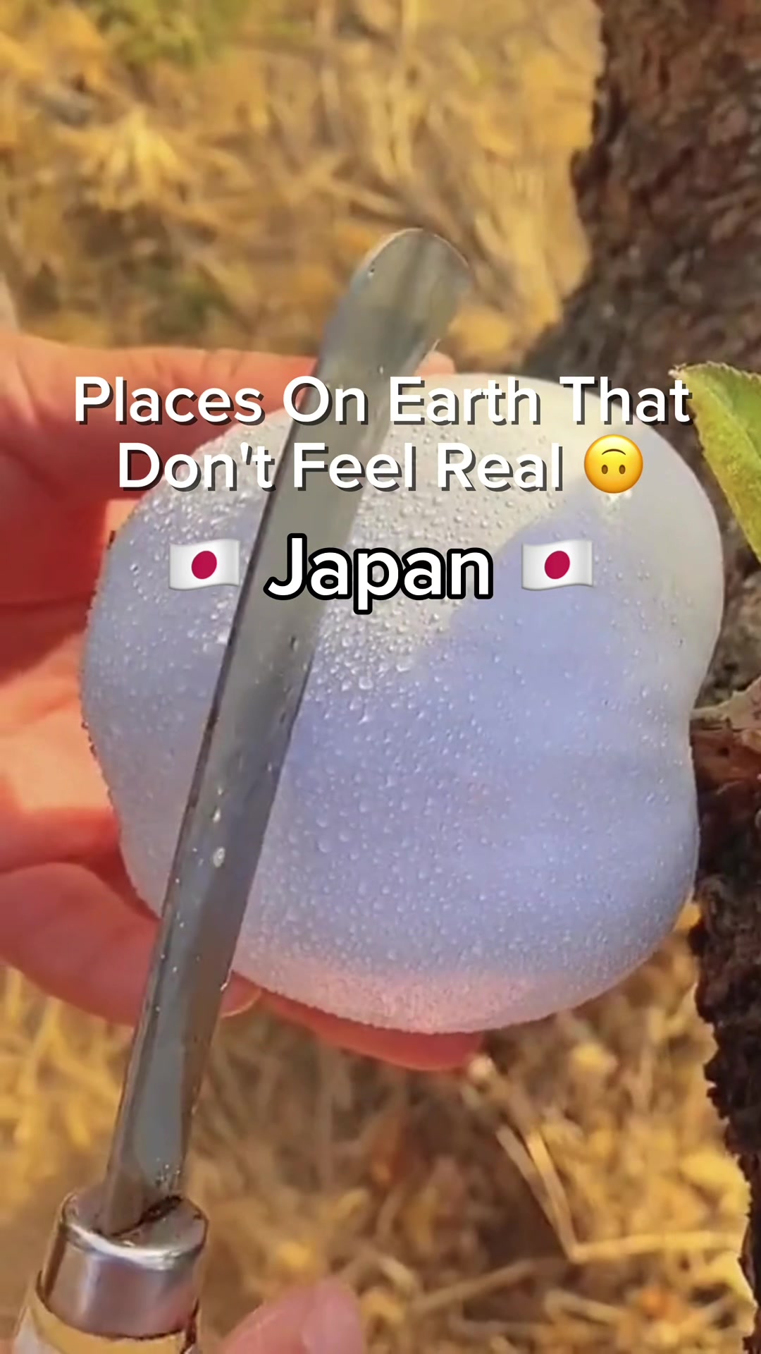 BeautifulWorld, Sensō-ji