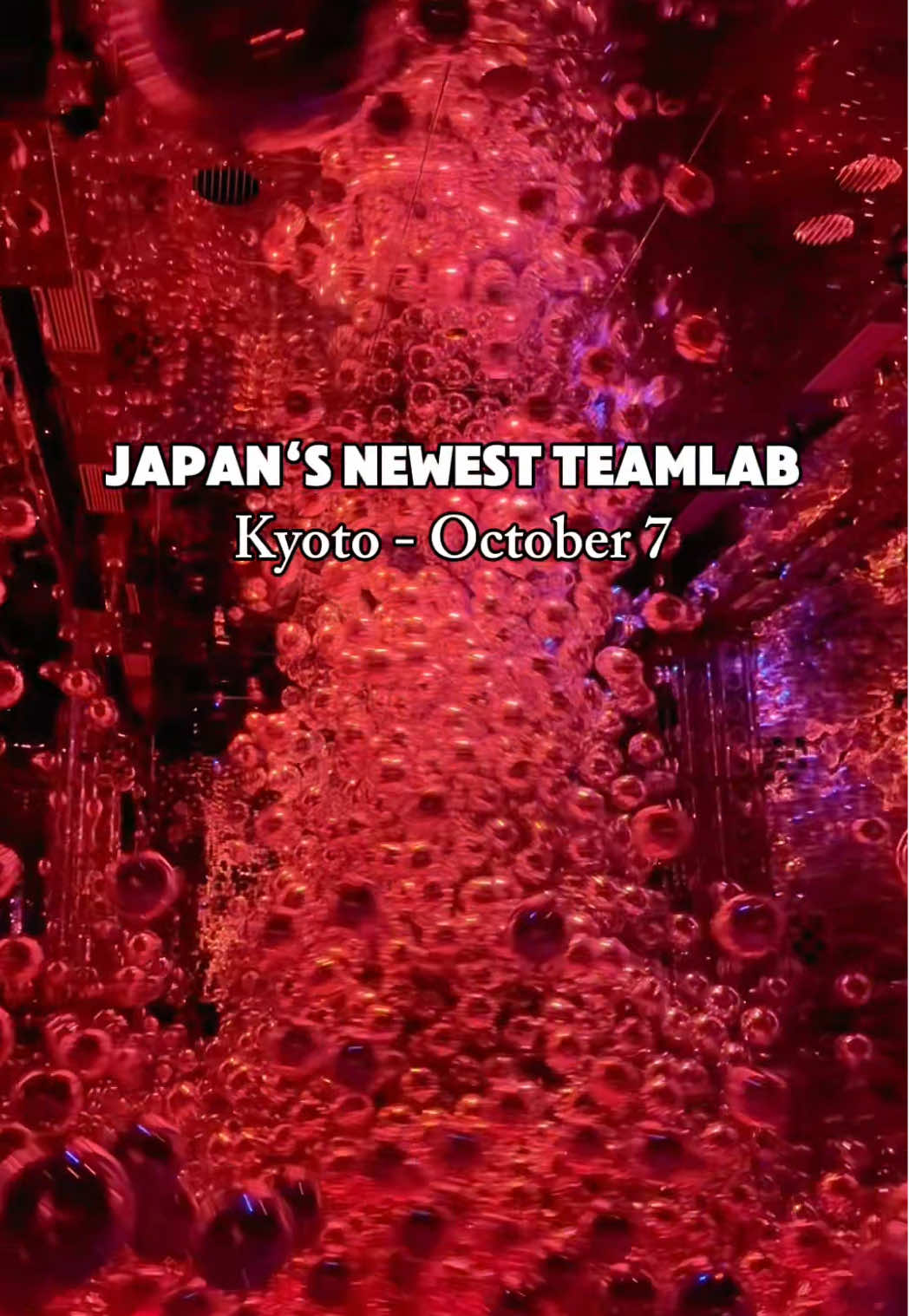 Naomi Kato, Kyoto Station