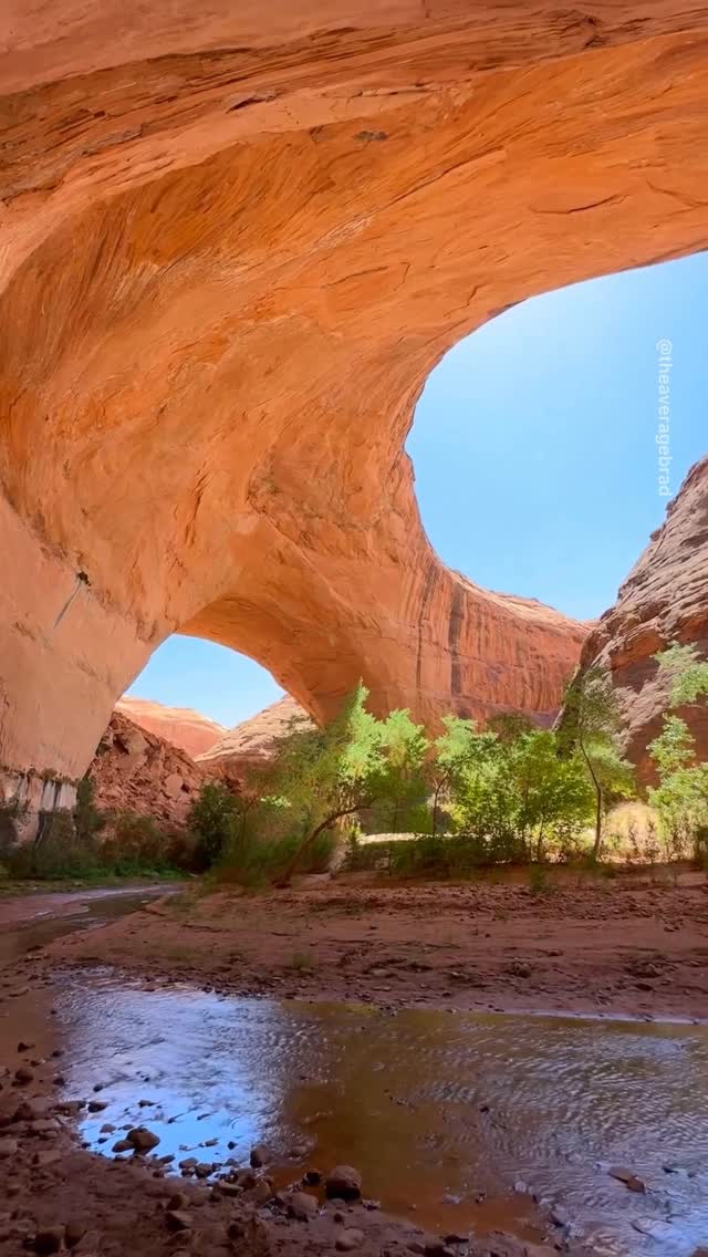 Zion Concierge, Great Salt Lake