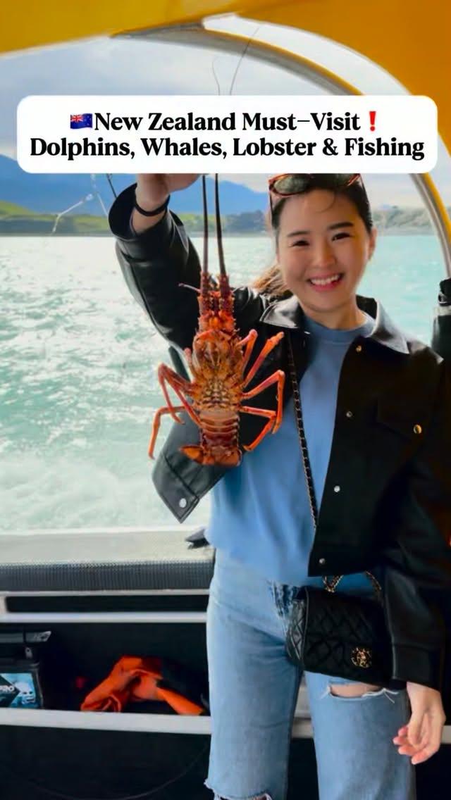 My Travel Kawan, Kaikōura