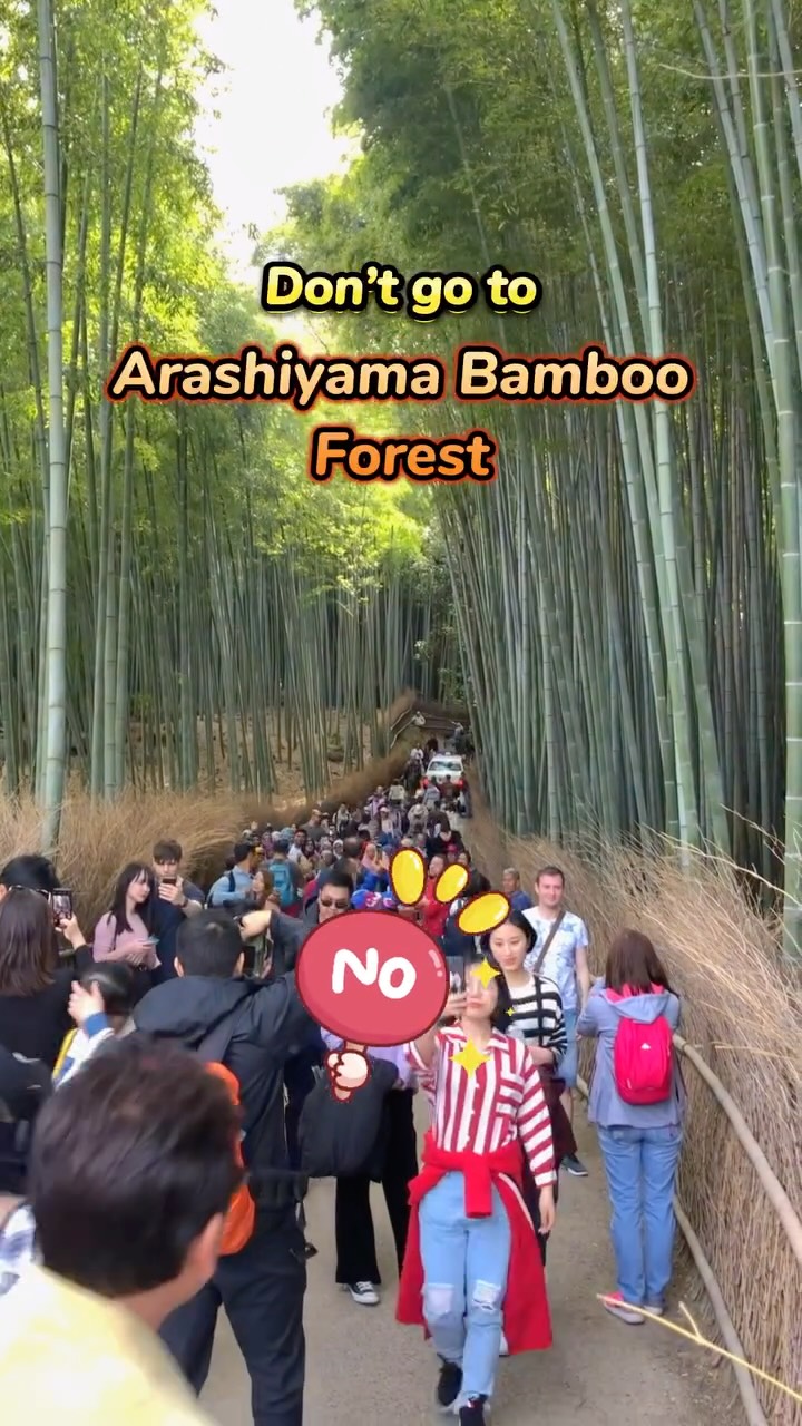 Hristo Georgiev, Arashiyama Bamboo Forest
