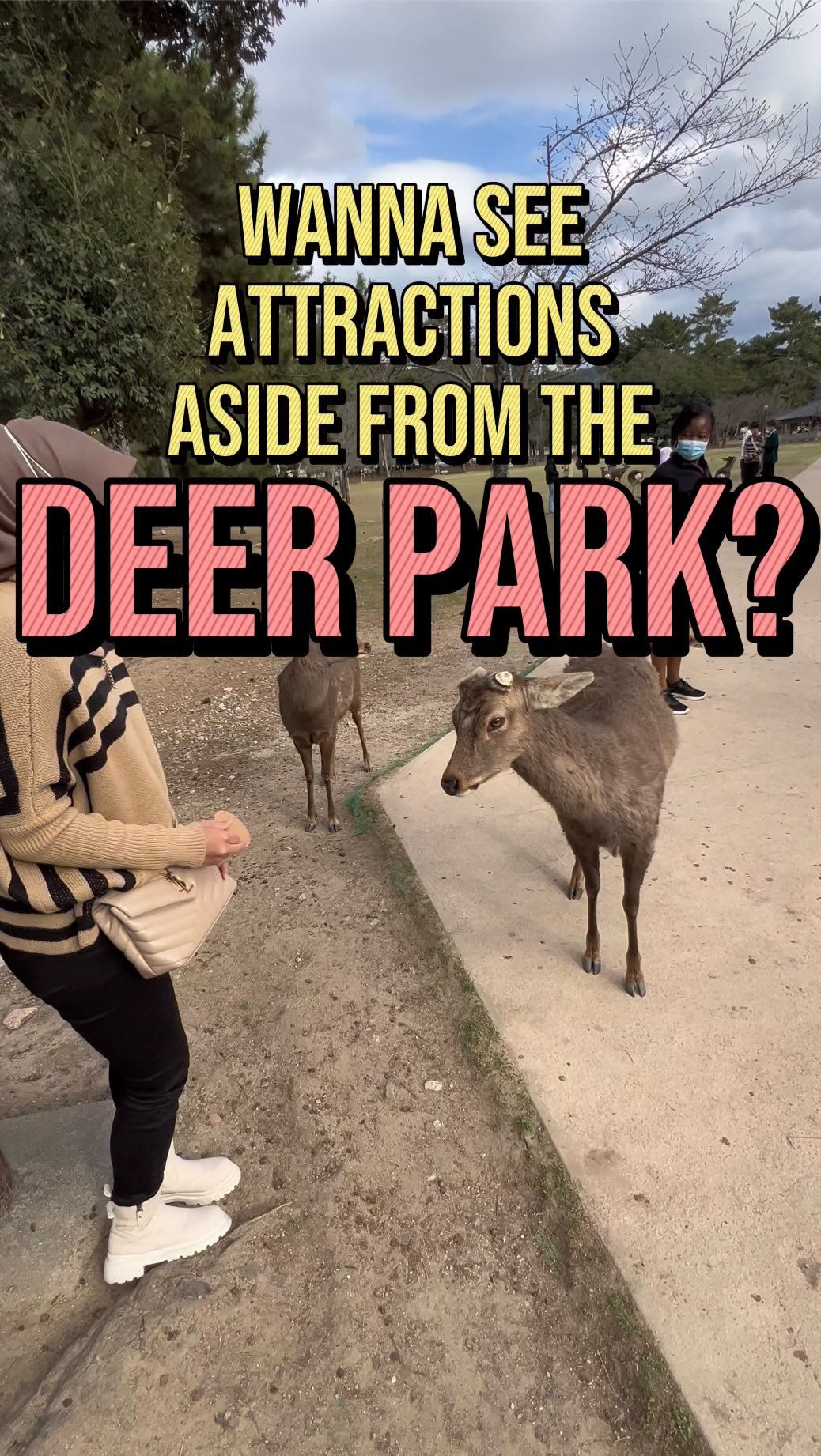Syafiq Rapid Reviews, Nara Park