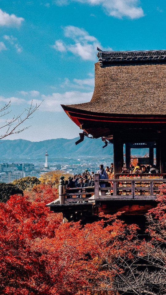 Helena | UK Travel Blogger, Yasaka Koshindo