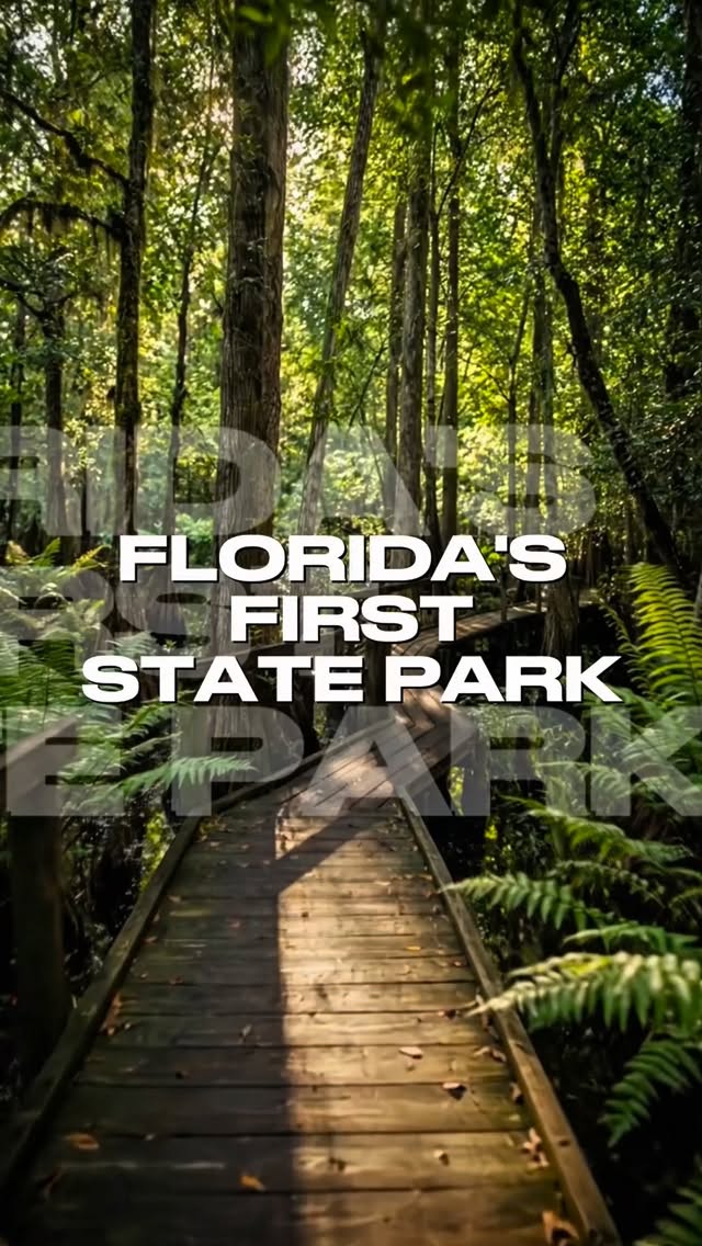 Shakti | Florida Travel Guide 🌞 🌎, State of Florida Civilian Conservation Corps Museum at Highlands Hammock State Park