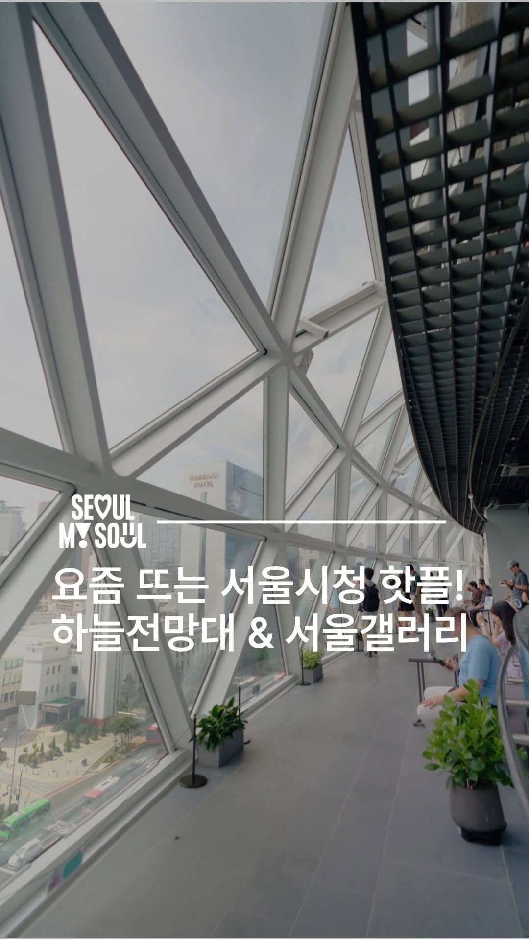 서울시 Seoul City, Deoksugung Palace