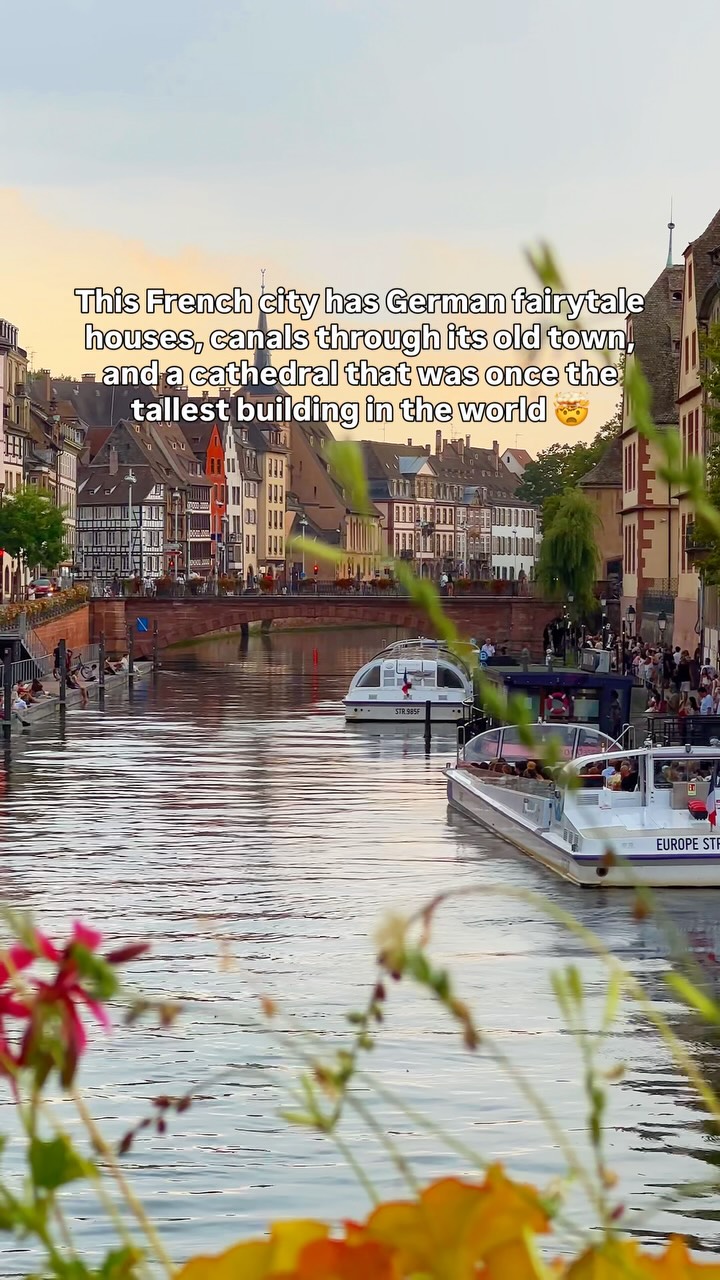 𝐃𝐫𝐢𝐬𝐡𝐭𝐢 | Road Trips & Unique Places, Cathédrale Notre-Dame-de-Strasbourg