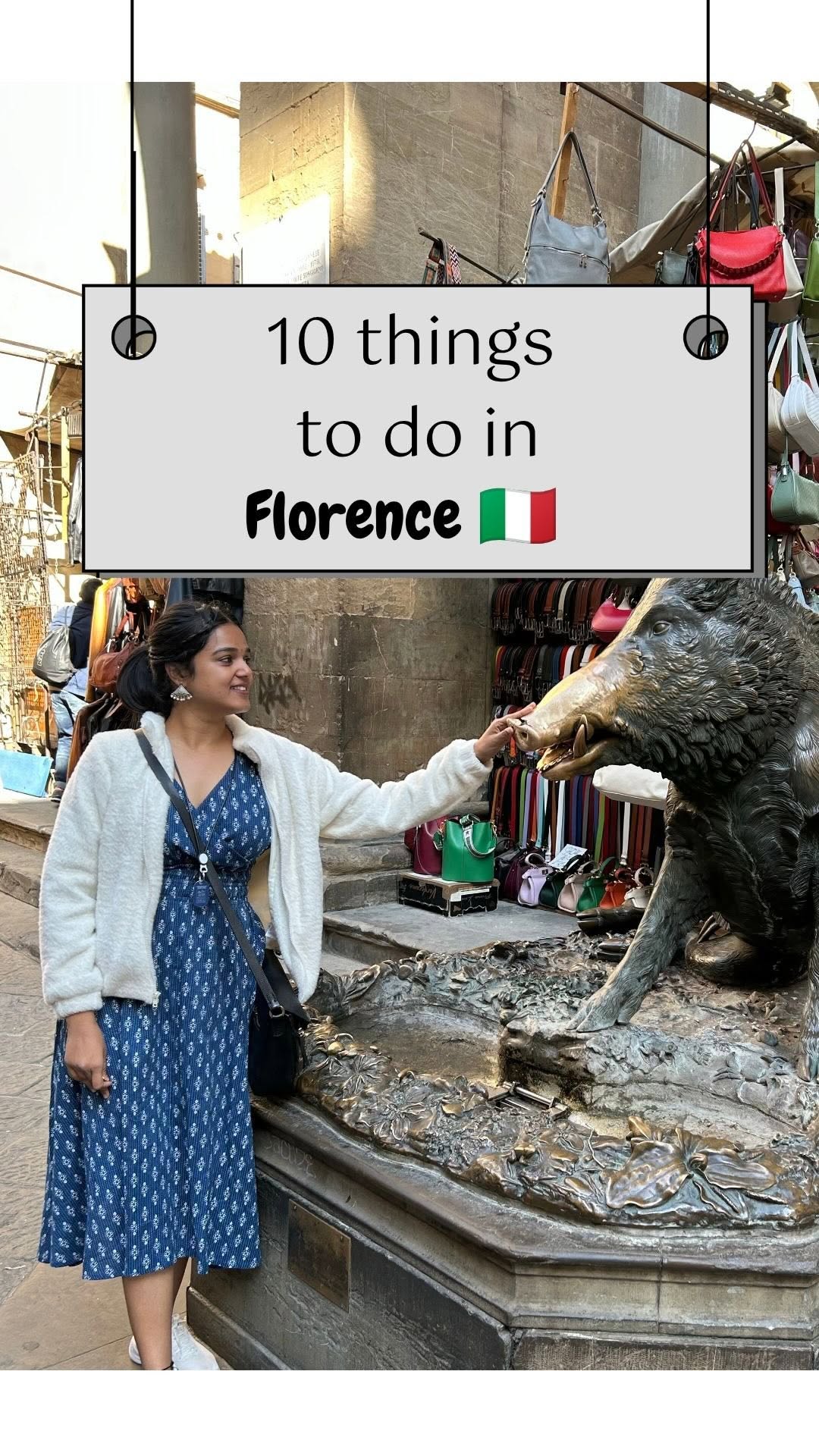 Harshini & Adith | Travel couple | Pet parents, Fontana del Porcellino