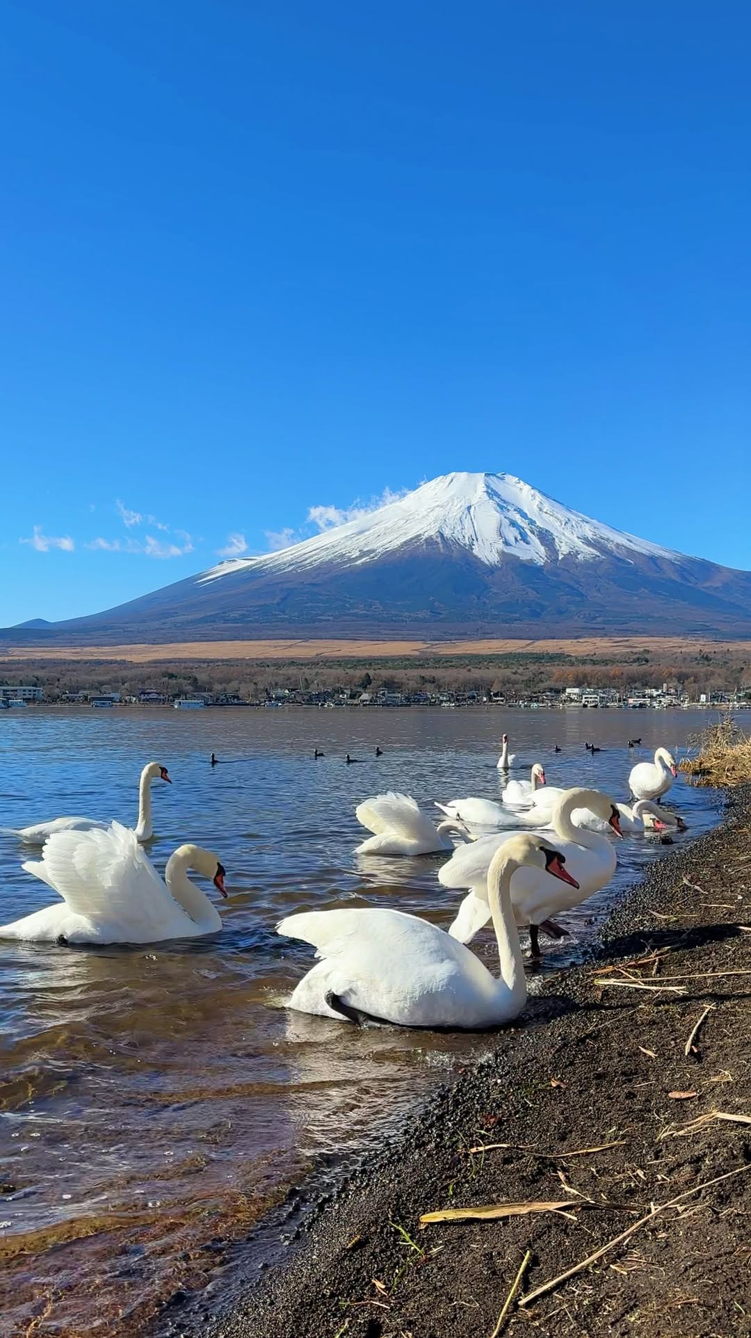 Where To Find Me | Maz, Mount Fuji