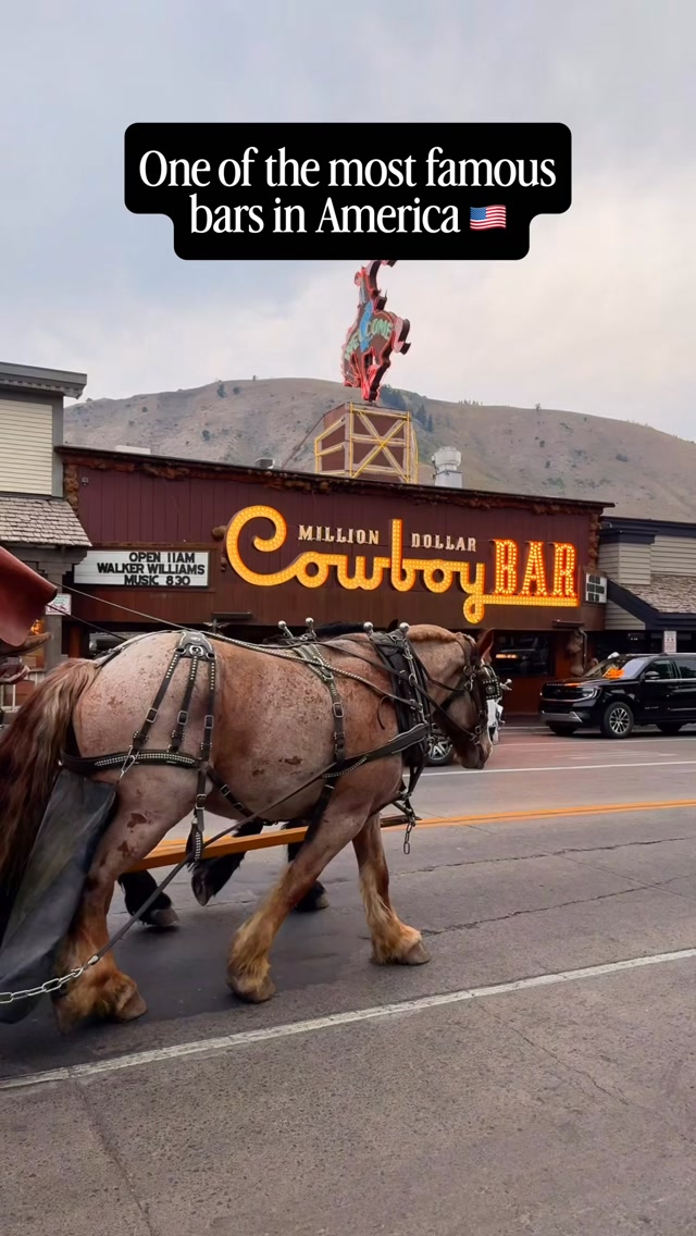 Matt&Kim•Family Vacation Ideas for ALL Budgets, Million Dollar Cowboy Bar