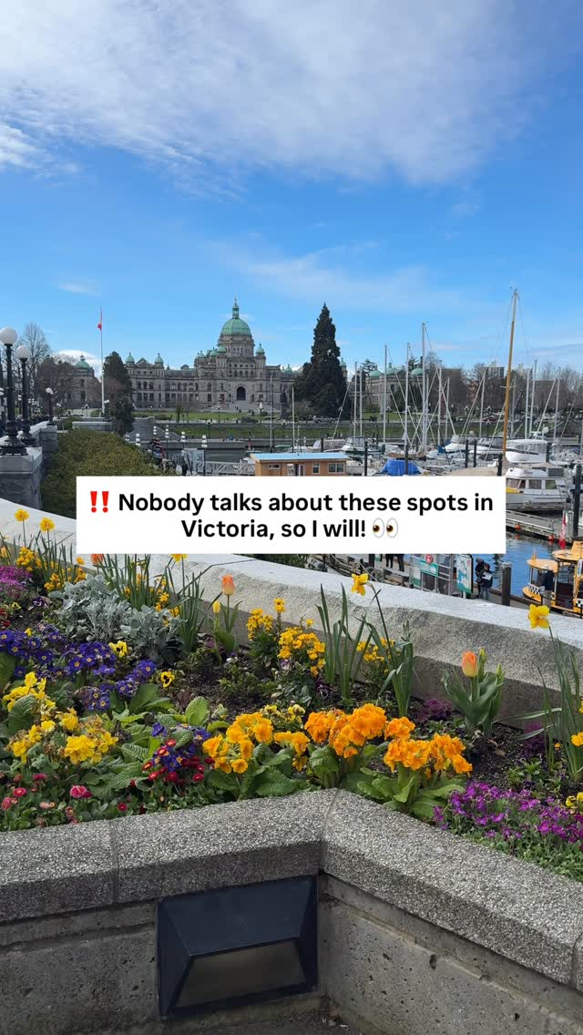 Aleena | Travel & Outdoors 🇨🇦, The Market Garden