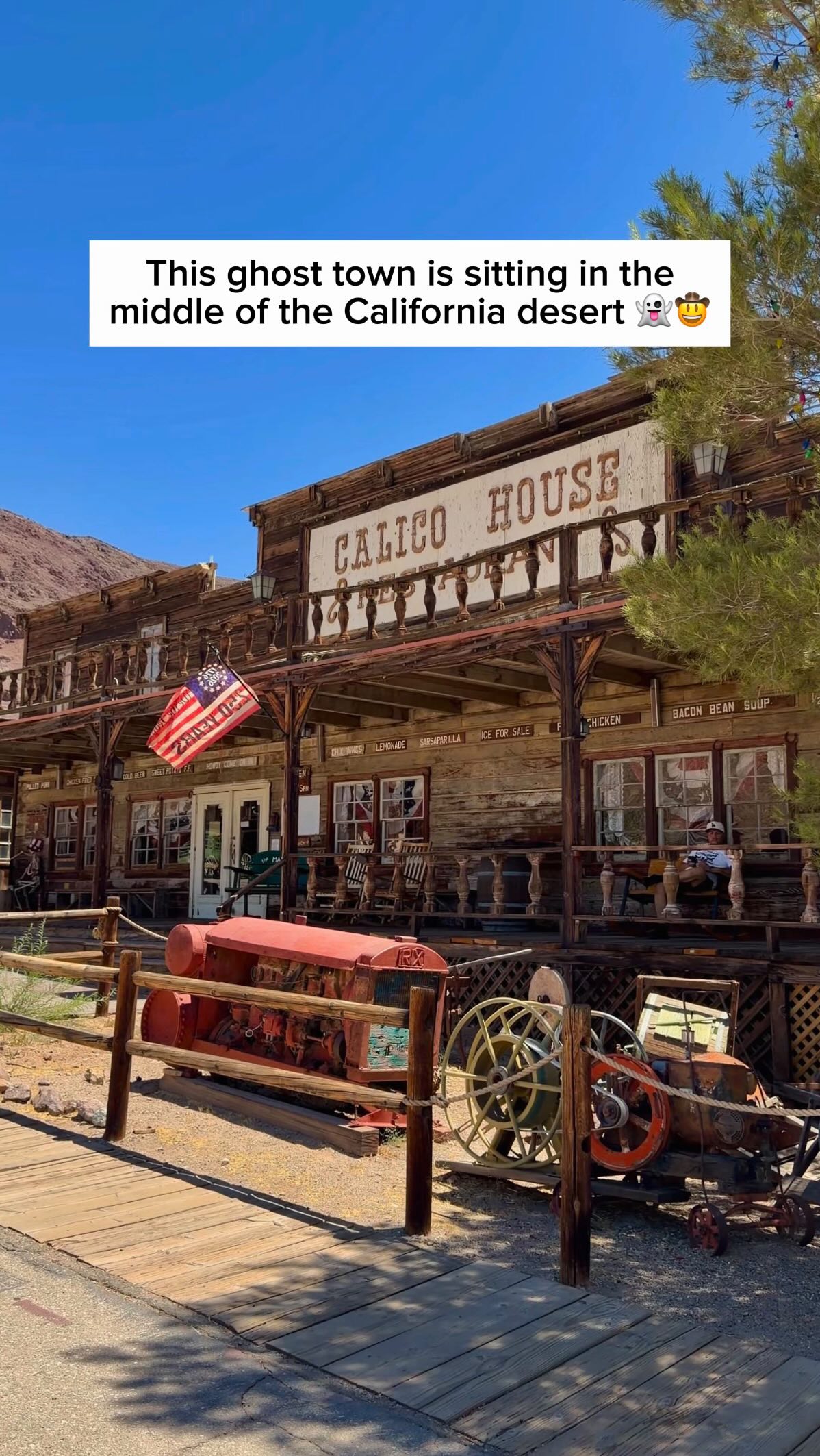 Amanda | Travel + Experiences, Calico