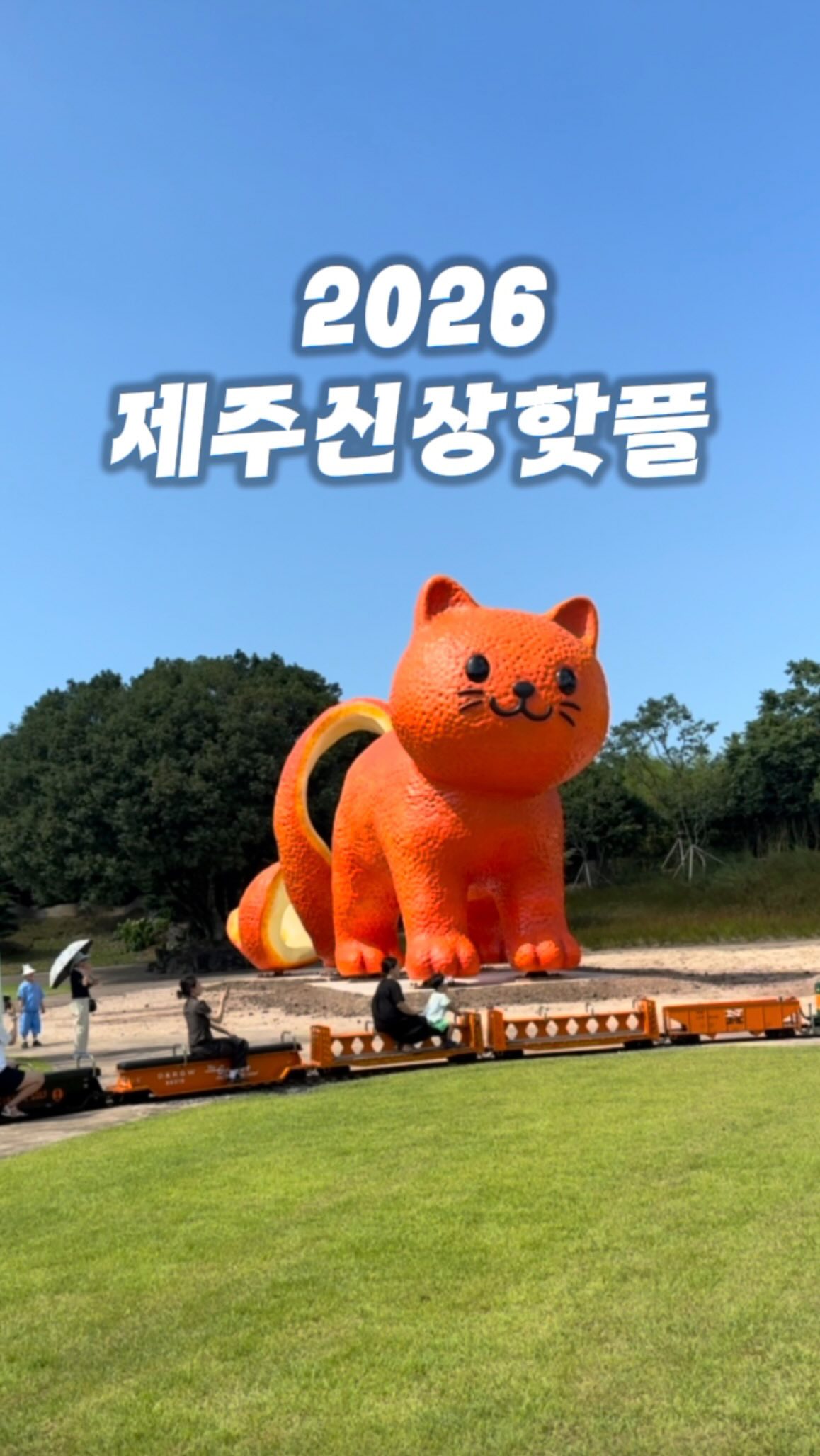 제주 주르레 | 제주여행 핫플 숨은명소, Alive Museum Jeju