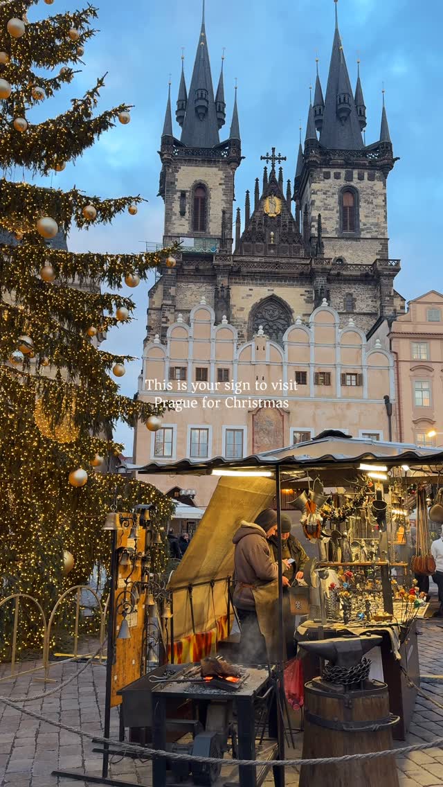 ❀ Mo ❀, Staroměstská radnice