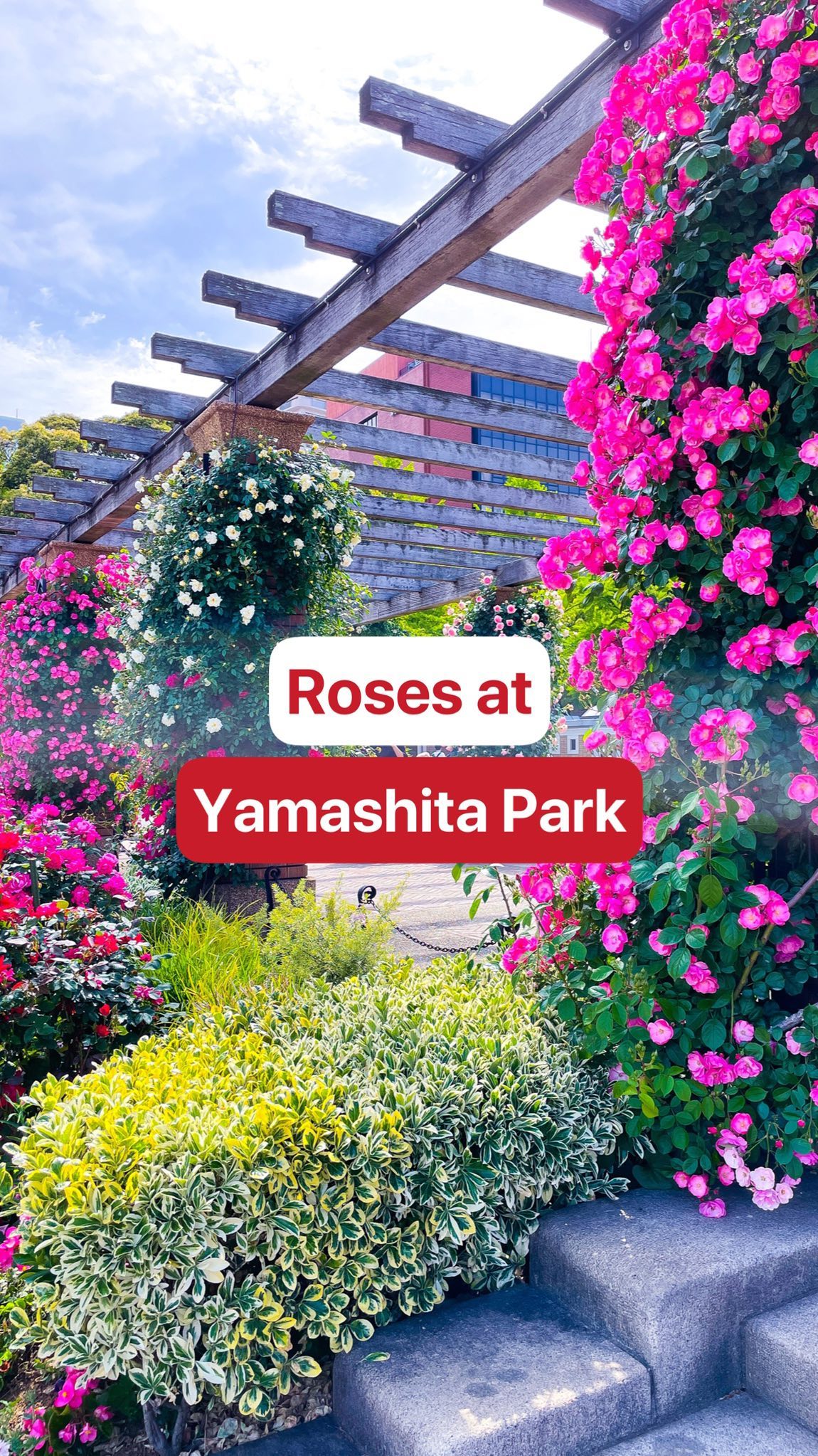 Japan Travel & Life Guide 🇯🇵, Yamashita Park