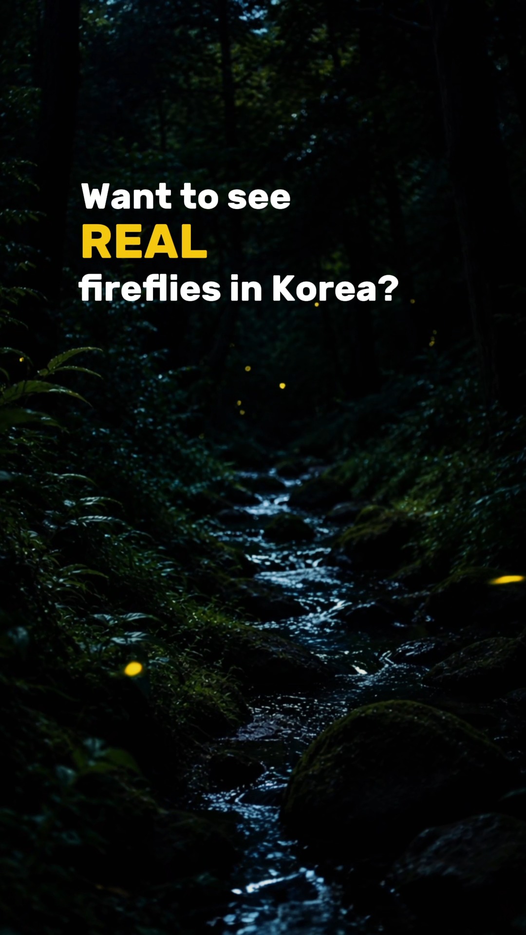Korea Travel Guide | Hidden Gems 🇰🇷, Deogyusan National Park
