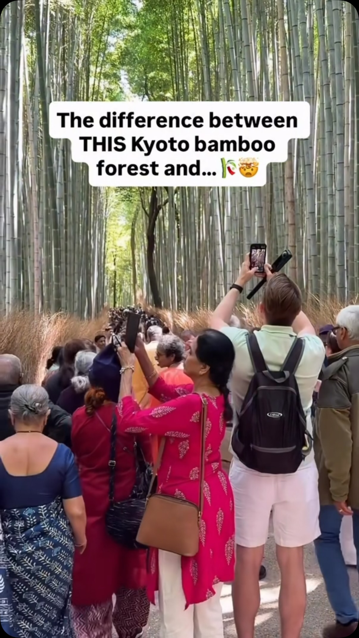 KRISTIN + DAVID | 🥾 Outdoorsy World Travel + Hiking, Arashiyama Bamboo Forest