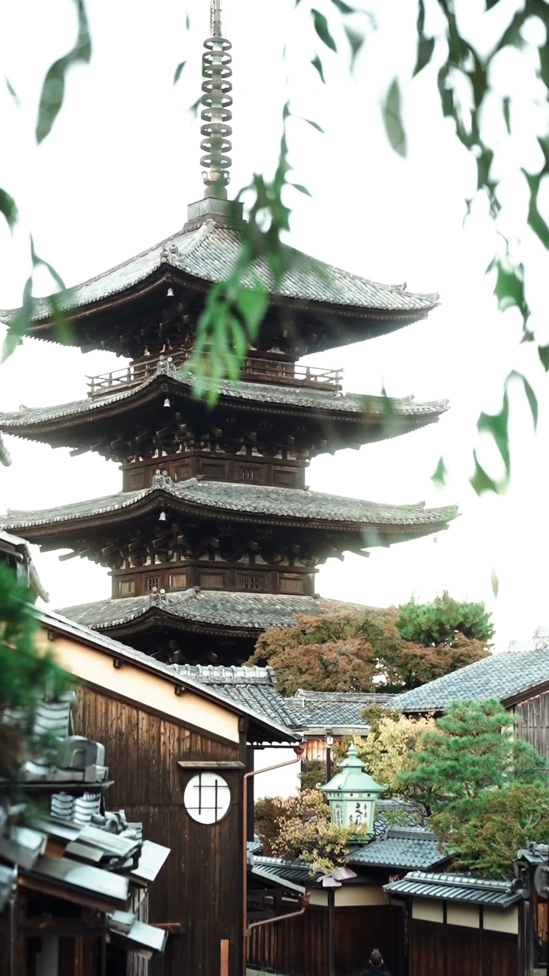 A miles collector, Fushimi Inari Taisha