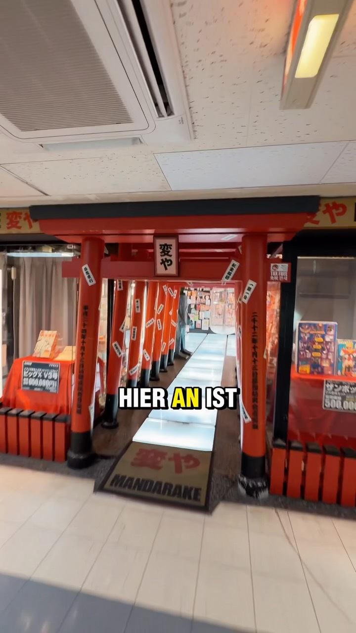Enes, Mandarake Complex
