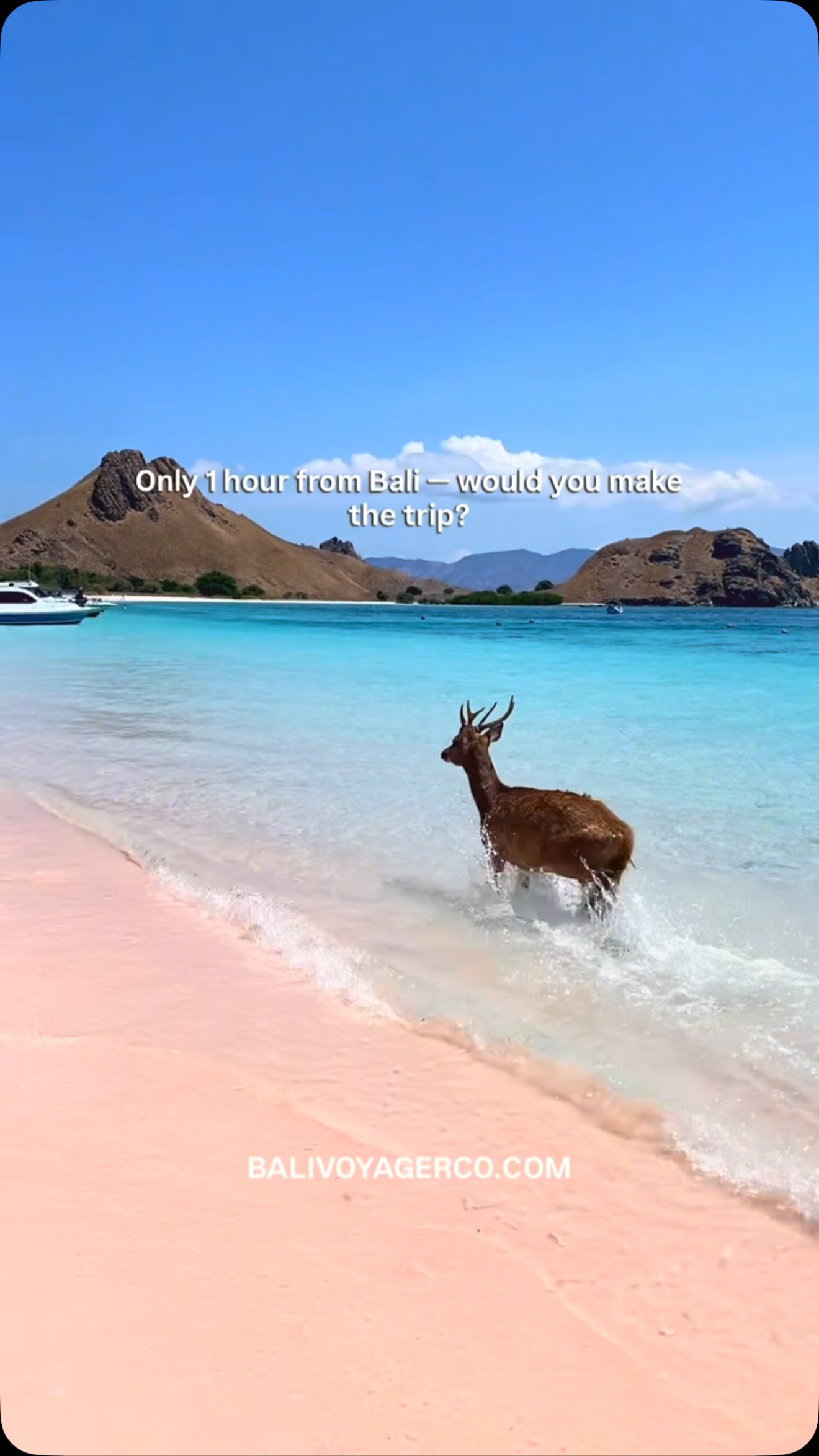 Bali Voyagerco | Tours & Activities, Komodo National Park