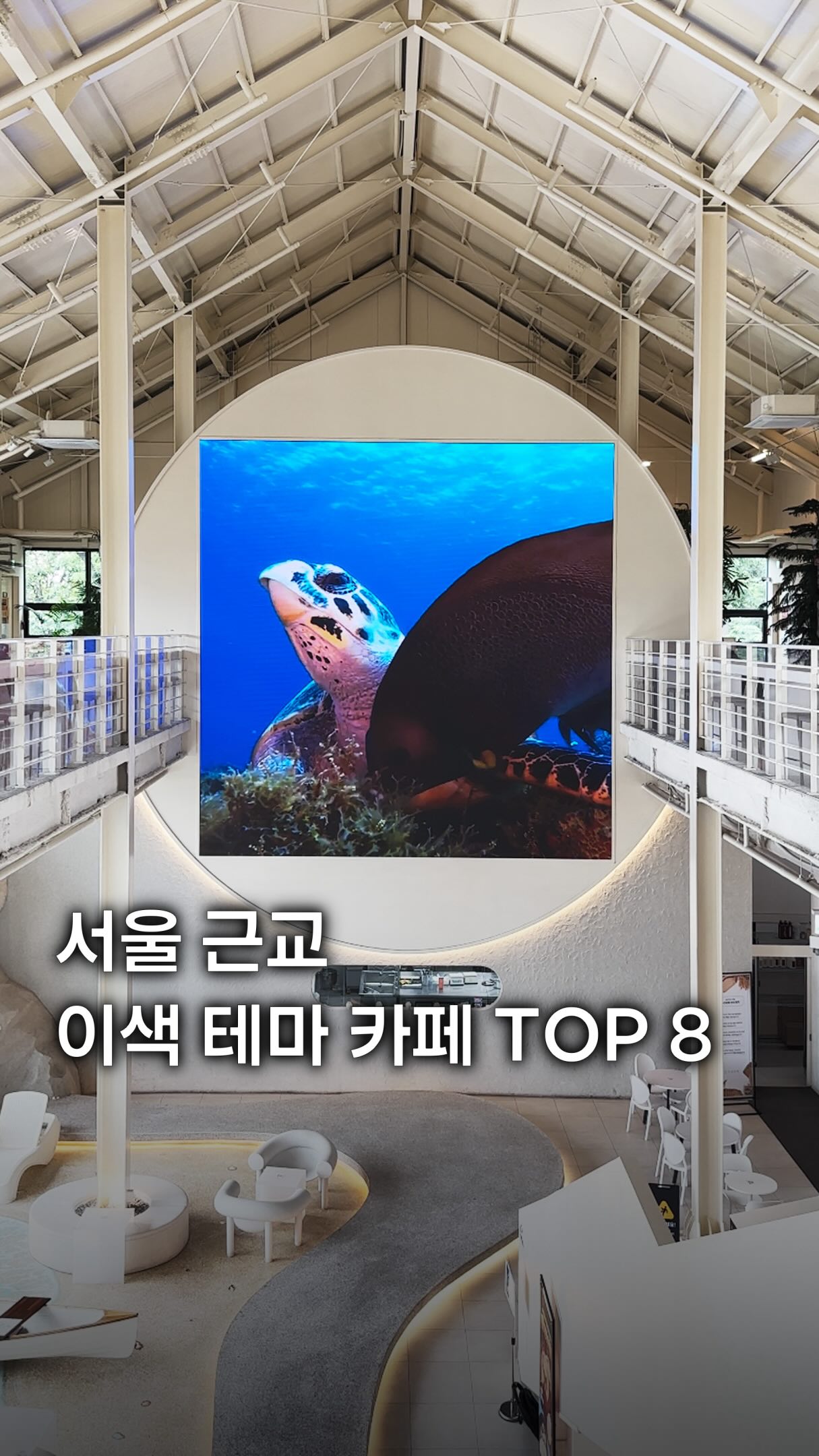 마이시즌｜맛집 팝업 전시 여행, Susan Gongwon
