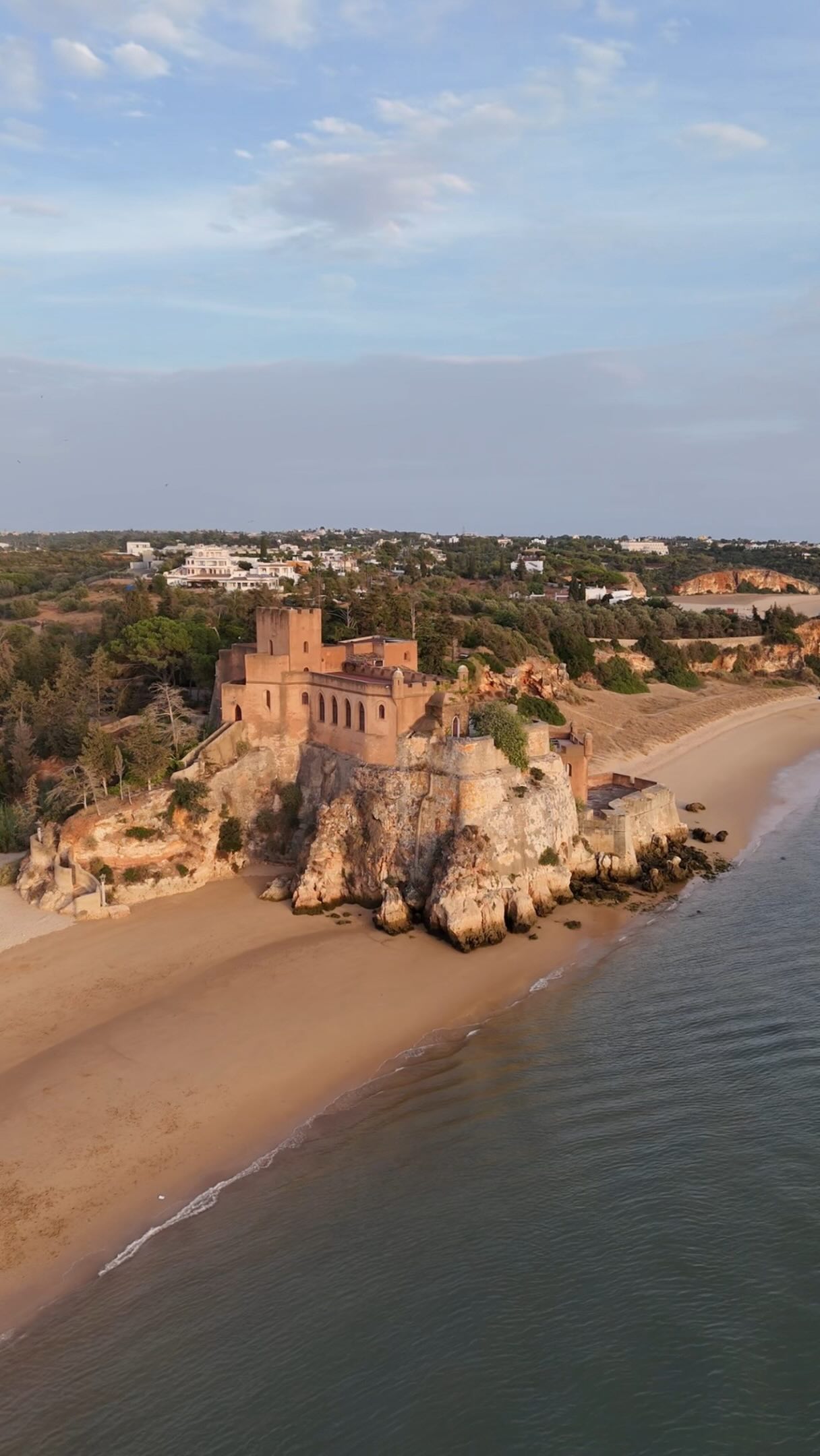 Afonso Arribança, Faro