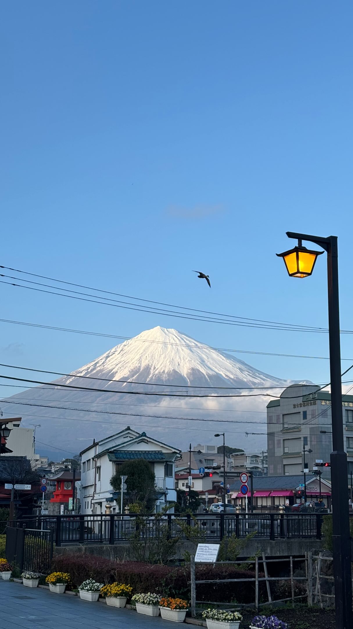 🇯🇵Around Japan-Travel Planning, Oishi Park