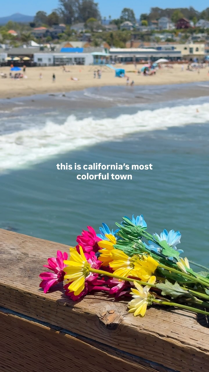 Cassie | Central California & Beyond, Capitola