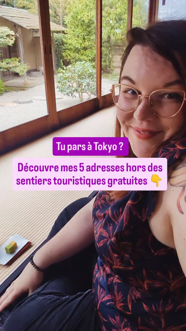 Conseils & Organisation Voyages Japon et Asie - Rennes -  UGC, Park Hotel Tokyo