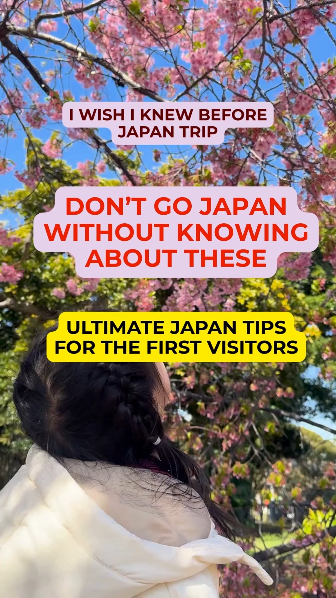 Nyla Nomad Diaries, Ghibli Museum