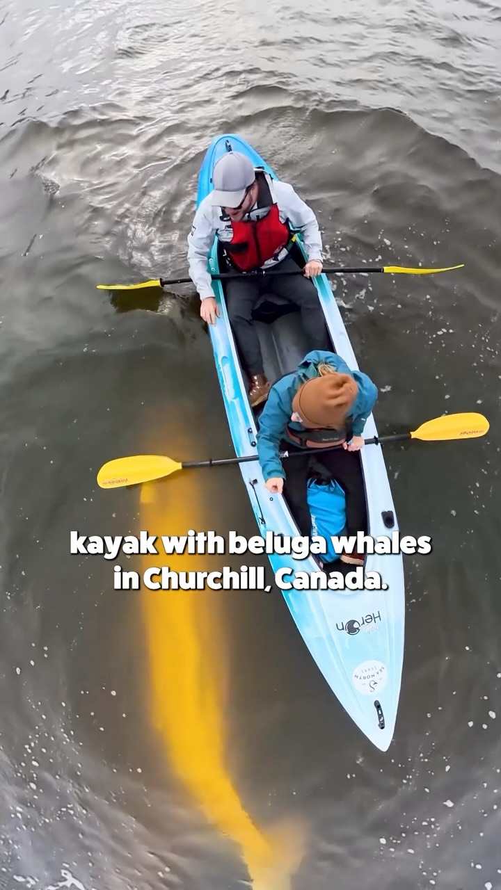 Justin & Jess | Adventure Travel Couple, Churchill