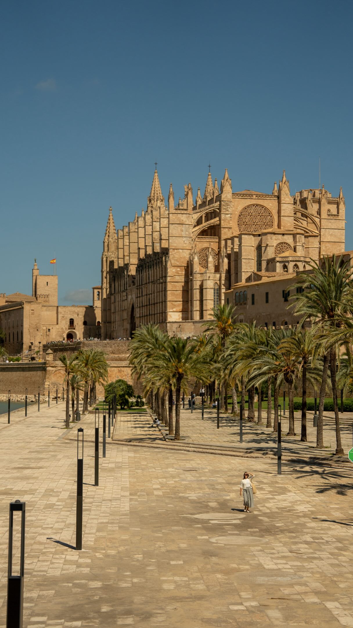 Sonia Mota: Simply Slow Traveler, Catedral-Basílica de Santa María de Mallorca