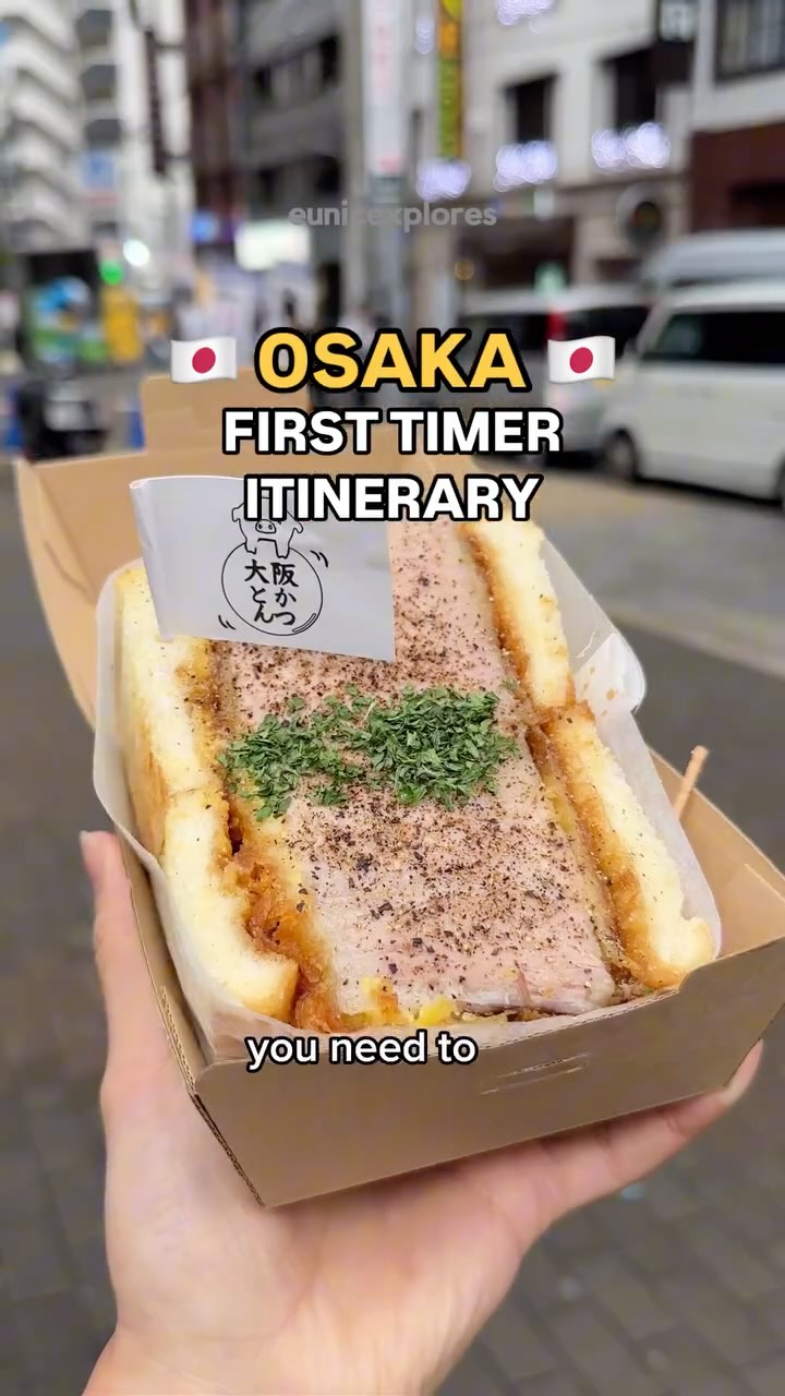 Eunice | food + travel 🤠, Dotonbori