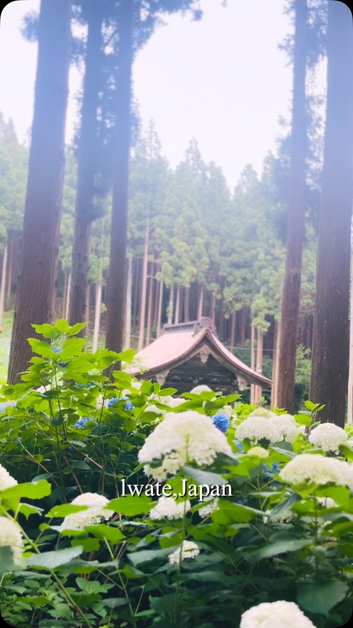 RIOKA/岩手:盛岡の風景•スポット案内所, Tendaiji Temple