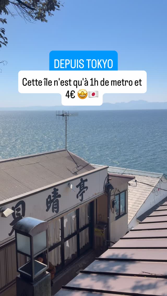 Léanna, Mount Fuji