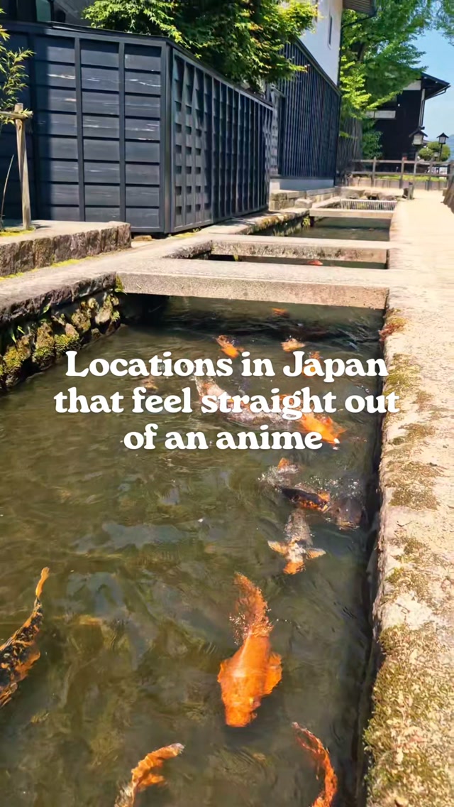 Japan From Scratch | Hi! I'm Dasha 🇦🇺💛🇯🇵, Mount Fuji
