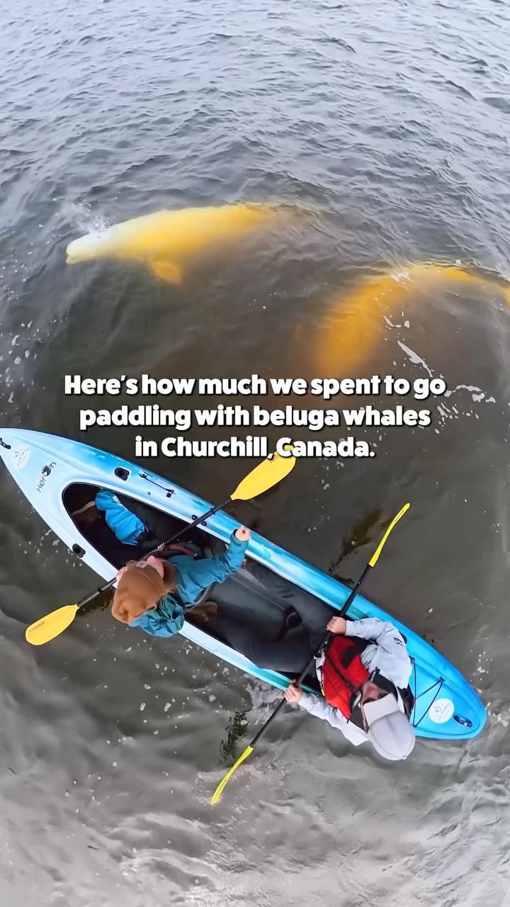 Justin & Jess | Adventure Travel Couple, Churchill